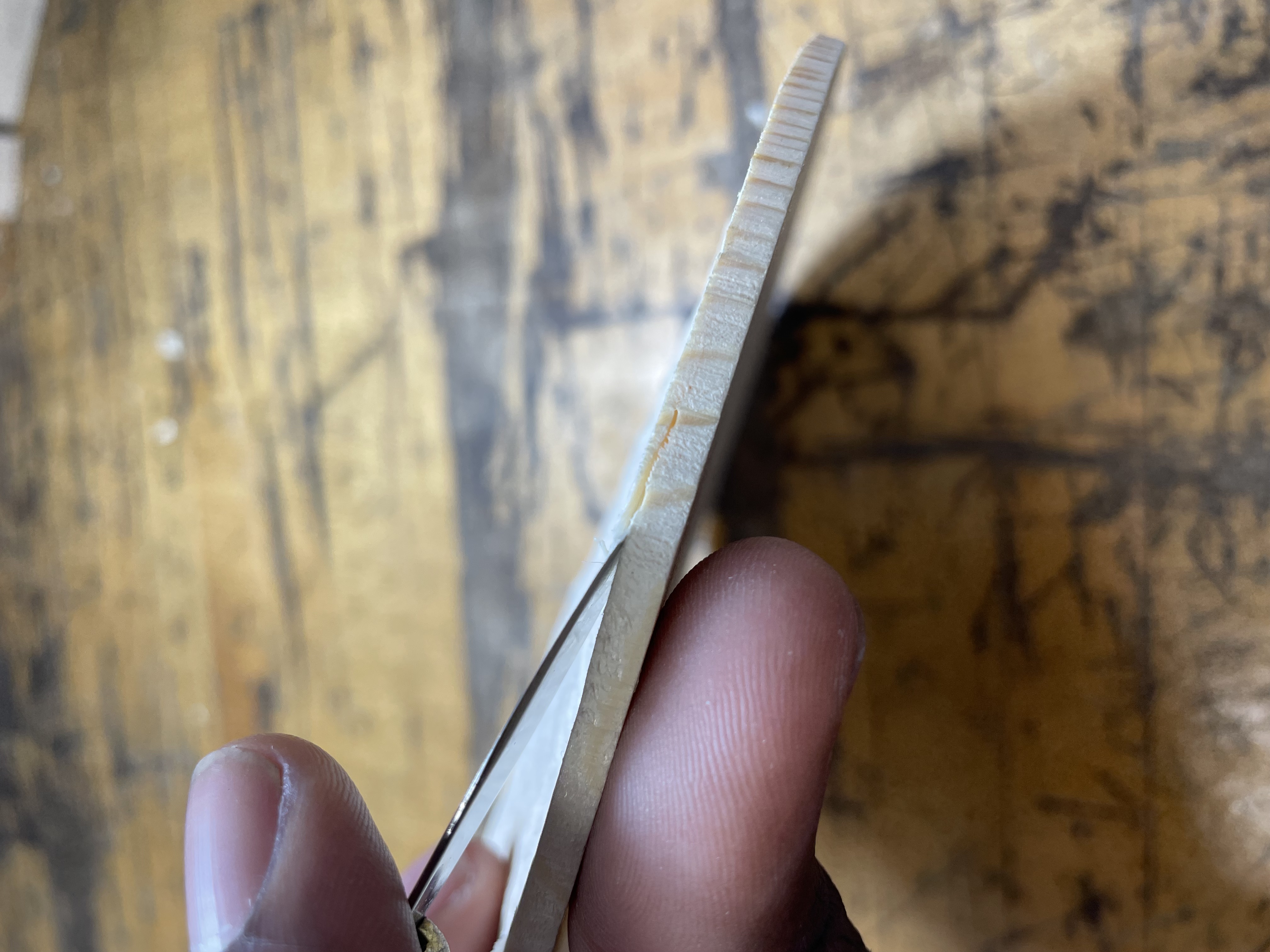 small yet mildly concerning split in the spruce