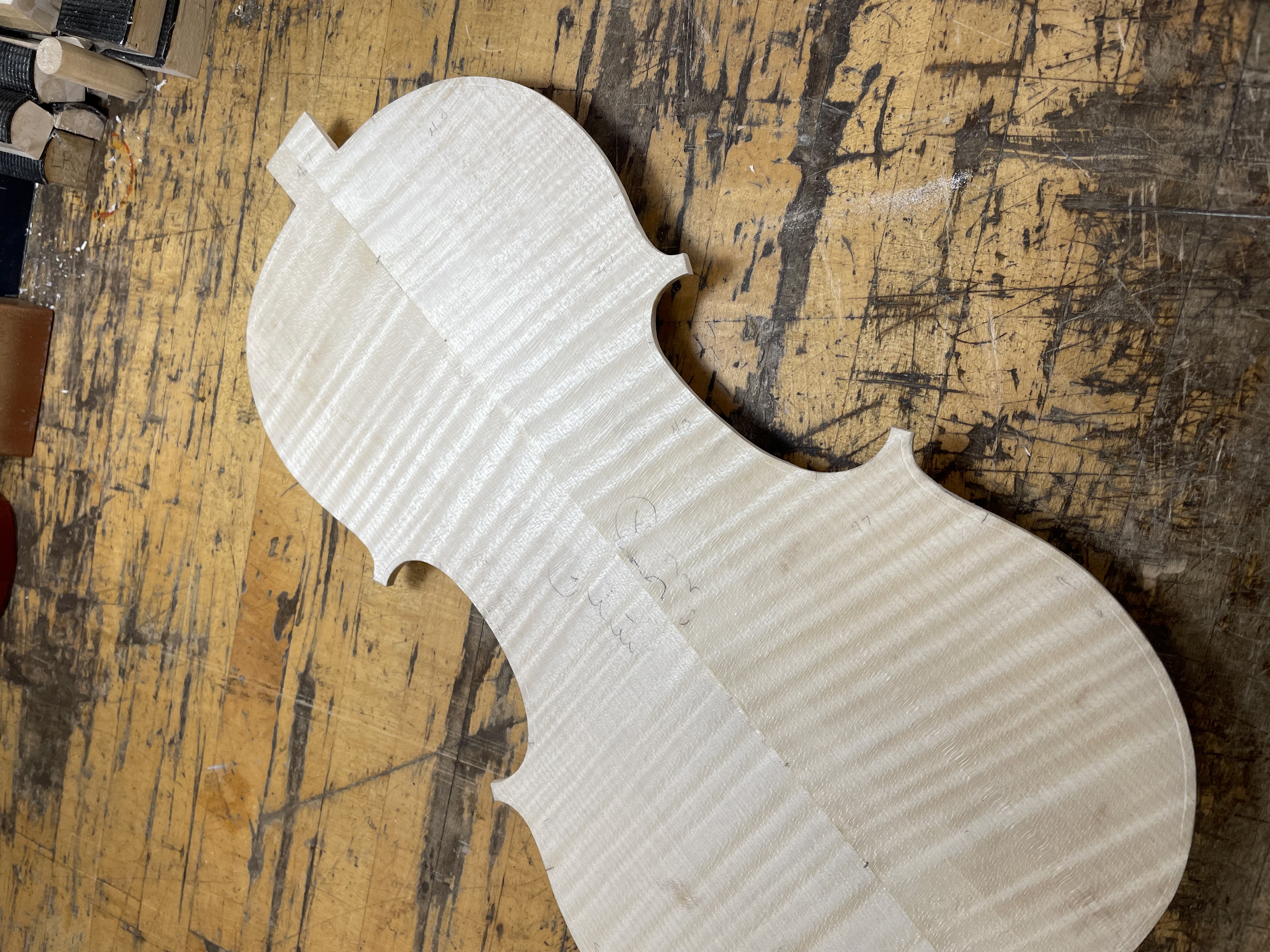 the maple back in one piece